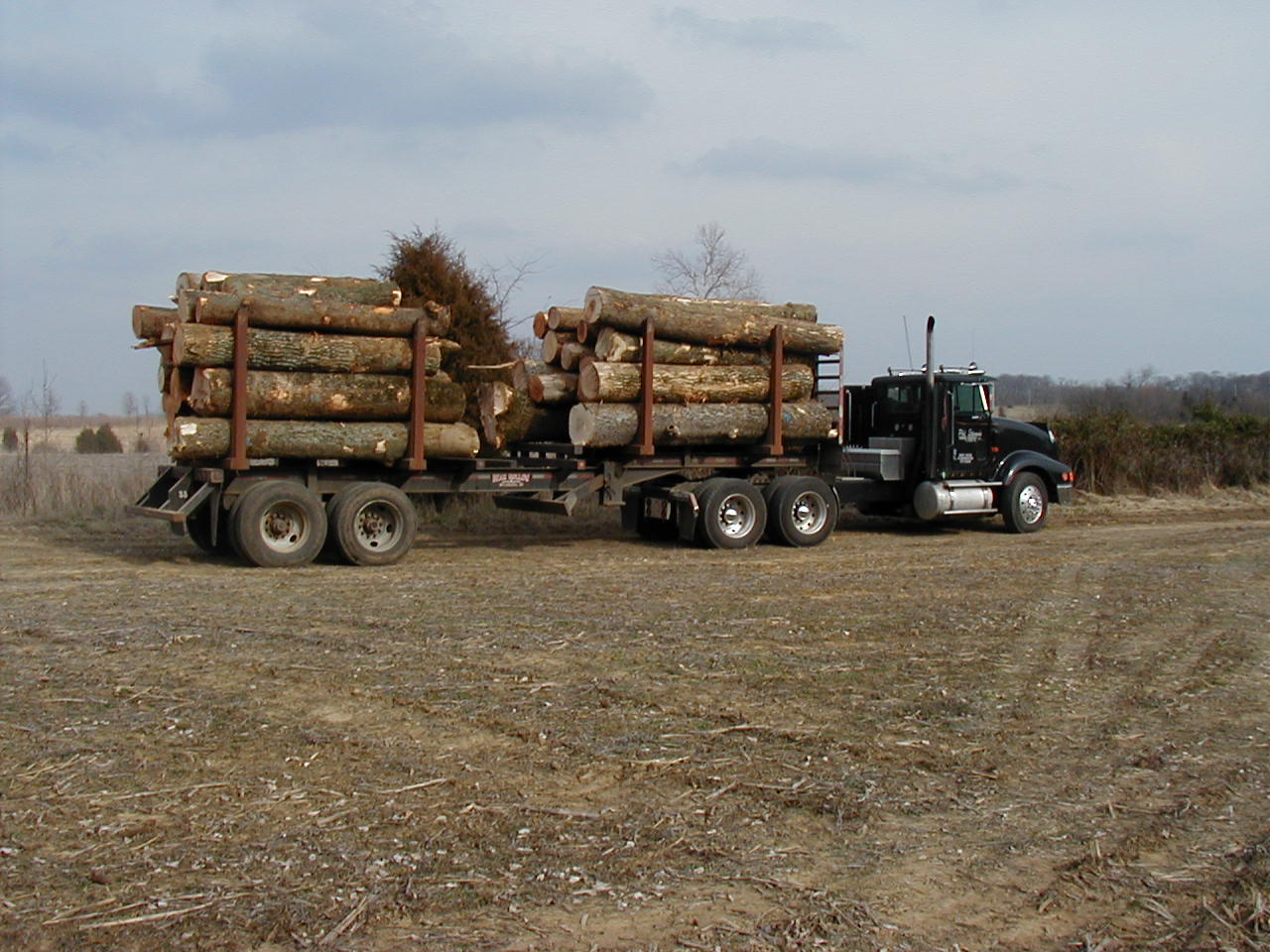 Loaded Log Truck